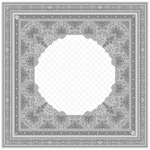 RA ZEA in White Grey